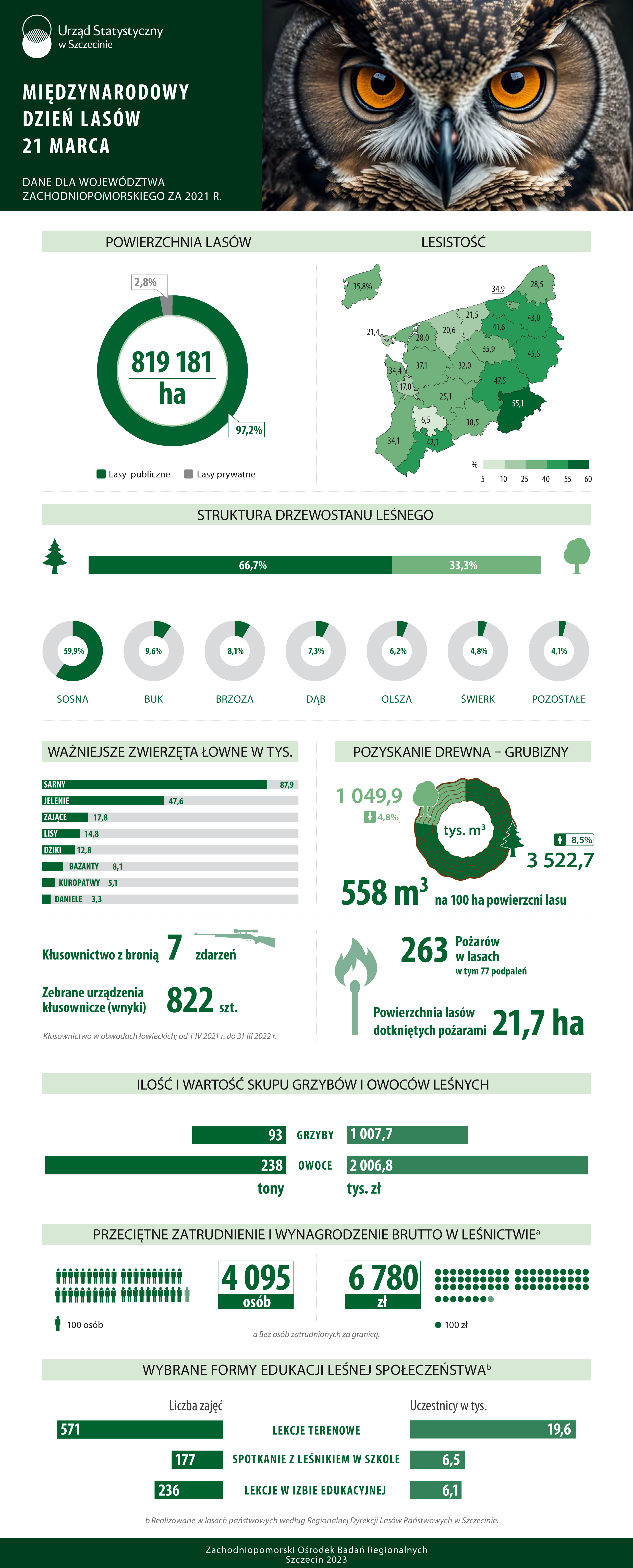 21 Marca — Międzynarodowy dzień lasów 2023 Infografika
