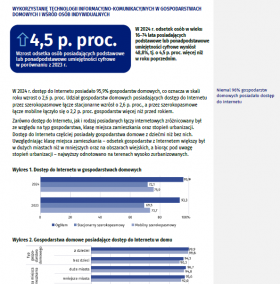 Społeczeństwo informacyjne w Polsce w 2024 roku.