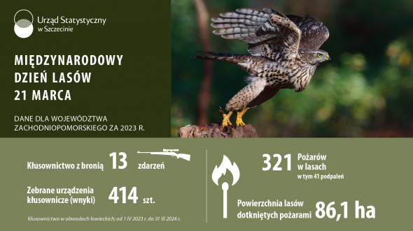 21 Marca — Międzynarodowy Dzień Lasów 2025 Baner
