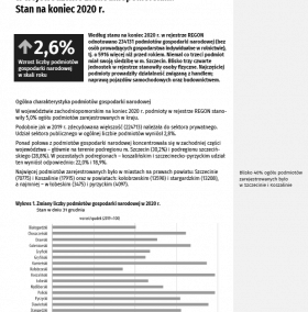 Podmioty_gospodarki narodowej_w rejestrze_REGON_w_2020 r.